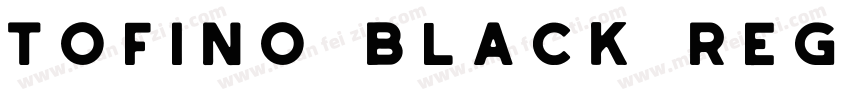 Tofino Black Regular字体转换
